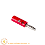 RBI BP 01