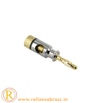 RBI BP 02
