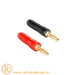 RBI BP 04