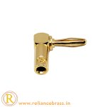 RBI BP 07