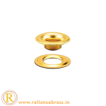 RBI-BW-01
