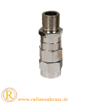 RBI-CBG-01