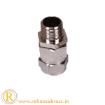 RBI-CBG-03