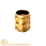 RBI-CBG-04