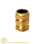 RBI-CBG-05