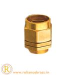 RBI-CBG-06