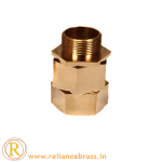 RBI-CBG-07