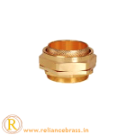 RBI-CBG-08