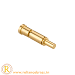 RBI-CTP-01
