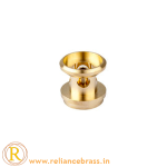 RBI-CTP-06